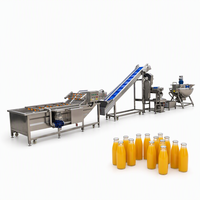 Fruit sap productielijn appel sinaasappel mango citroen sapverwerkingsmachine automatische was-, crush- en vullijn