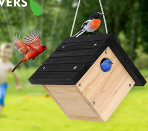 Casa para Pájaros Colgante de Cedro, Tamaño Personalizado, Ecológica, de Madera y Bambú para Exteriores - Product Image 5
