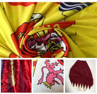 Drapeaux de capot de voiture personnalisés de haute qualité en polyester élastique à bas prix, drapeaux de rétroviseur, drapeaux de capot personnalisés Panama