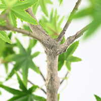 Plantes artificielles d'érable vert en pot, détachables, pour la décoration intérieure de maisons, hôtels, centres commerciaux, restaurants et espaces commerciaux.
