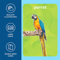 Cartes flash pour tout-petits de 12 mois, imperméables, cartes de reconnaissance pour enfants, cartes de cognition précoce pour la salle de classe