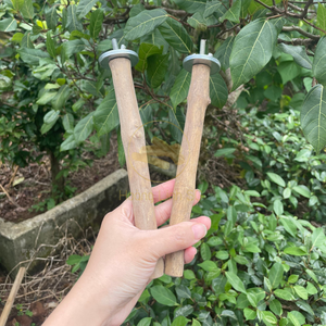 Soporte de percha para pájaros Rama de soporte de madera natural hecha en Vietnam HOANG LINH SG Kimy + 84938616690 - Product Image 5