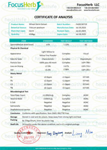 Il magazzino USA integra l'estratto di germe di grano fermentato 1% polvere di spermidina - Product Image 2