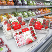 Boîte d'emballage en plastique transparente pour fraises, 9, 11, 15, 20, 24, 28 cellules, en PET recyclé, avec étiquette et doublure en mousse