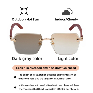 Kacamata Sunglasses Partagas Retro <span class=keywords><strong>Designer</strong></span> Custom Logo Photochromic Rimless Leopard Head Wood Grain Colors Arms UV400 untuk Pria - Product Image 6