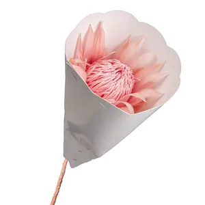 Flores Naturales Preservadas AYOYO OEM, Protea Gigante de Larga Duración, Flores de Protea Preservadas, King Floral - Product Image 4