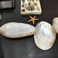 Assiette en nacre de nacre polie, artisanat en nacre de nacre naturelle, assiette en nacre de Caviar à vendre