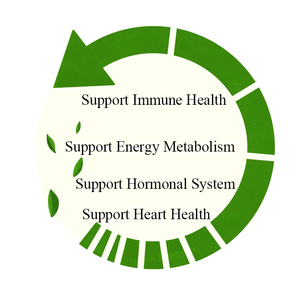 Tabletas de Complejo de Vitamina B, Vitaminas B Metiladas, Suplemento con Metilfolato, Apoyo Inmunológico, Energía y Salud Cardíaca, OEM/ODM, Gran Venta - Product Image 3