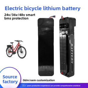 Tùy chỉnh 12V-72V Li-ion <span class=keywords><strong>Battery</strong></span> Pack cho e-xe đạp powertool 20ah-80ah <span class=keywords><strong>Lithium</strong></span> Xe đạp điện pin" - Product Image 2