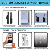 Serrure intelligente TUYA, ensemble complet, poignée de porte électronique, cylindre de serrure avec empreinte digitale et mot de passe, application, adaptée pour la maison et l'hôtel