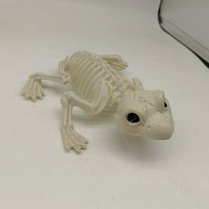 Accesorios de Broma para Halloween - <span class=keywords><strong>Esqueleto</strong></span> de Rana 3D de Plástico Impermeable Accesorios para Exteriores - <span class=keywords><strong>Esqueleto</strong></span> de Animal para Bromas y Diversión - Product Image 2