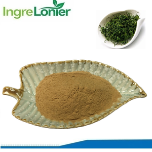 Заводская поставка, чистая натуральная трава, экстракт гиностеммы, пентафиллум, экстракт гиностеммы, порошок гипенозидов 3%-98%, Лидер продаж - Product Image 2