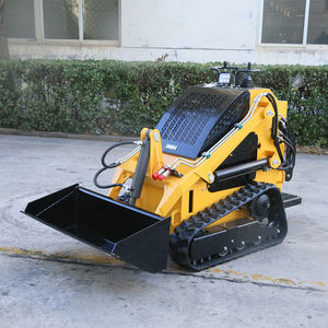 جرافة أمامية صغيرة عالية الجودة باليورو 5 CE EPA <span class=keywords><strong>Skid</strong></span> بضمانة لمدة عام جودة جيدة للبيع - Product Image 2