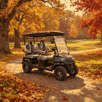 Voiturette de golf électrique individuelle en métal 2026 Rainbow personnalisable, avec moteur AC 4KW, 4 places, batterie lithium 48V, pour terrains de golf et clubs