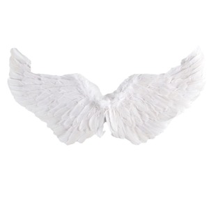Venta Directa de Fábrica, Alas de Ángel para Adultos, Alas de Halloween Hechas a Mano con Plumas, Venta al Por Mayor - Product Image 5