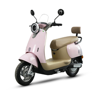 TYCORUN CKD SKD Scooter Électrique 2 Roues 10 Pouces 800W Vitesse 45km/h Style Cool Moto Électrique Adulte