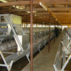 Best Seller a-tipi otomatik inşa-katman çelik pil kafes yeni durum tavuk kümesleri kuşlar çiftlik ev kullanımı için tavuk damızlık - Product Image 4