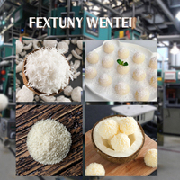 Machine à râper la noix de coco électrique automatique 220V, broyeur de chair de noix de coco de qualité alimentaire, haute capacité 40KG/H