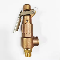TMOK DN25 1 "HVAC Soupape de sécurité MF BSP Soupape de sécurité à levier PSV pour échangeurs de chaleur