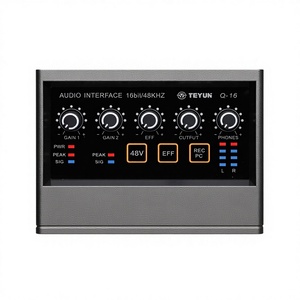 เทยุน โปรเฟสชั่นแนล เอบีเอสไมโครโฟนการ์ดเสียง USB คอมพิวเตอร์ ไม่ต้องใช้ไดรเวอร์ สำหรับไลฟ์สตรีมมิ่ง บันทึกเสียง คาราโอเกะ อุปกรณ์มหัศจรรย์ - Product Image 2