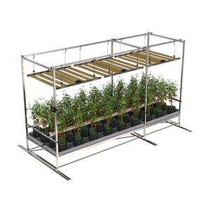 Système <span class=keywords><strong>de</strong></span> culture hydroponique mobile personnalisable, système <span class=keywords><strong>de</strong></span> culture vertical intérieur avec plateaux LED - Product Image 1