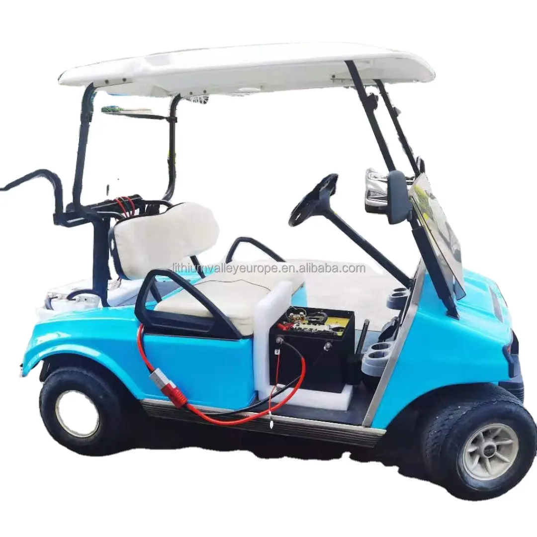 Golf wagen batterie LiFEPO4 48V 50AH 100AH 105AH 200AH Lithium-Ionen-Batterien mit Kommunikation