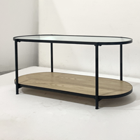 Table basse moderne de haute qualité et durable à deux niveaux, en verre trempé cannelé, métal et bois, rangement facile, assemblage facile, meubles de salon