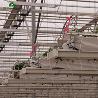Serre hydroponique commerciale à fraises Système hydroponique GT