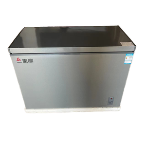 Nouveau modèle 2025 Congélateur coffre blanc à alimentation automatique, dimensions horizontales, prix usine, pour usage commercial, domestique et hôtelier - Product Image 1