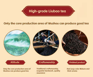 <span class=keywords><strong>Tè</strong></span> Liubao Biologico Cinese - <span class=keywords><strong>Tè</strong></span> Nero Unico con Lunga Storia e di Tendenza in Confezione Regalo - Product Image 5