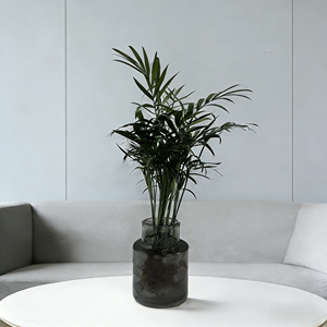 Solution pour les Jardiniers <span class=keywords><strong>Paresseux</strong></span> : Agent de Rétention d'Eau Haute Technologie Maenam - Product Image 1