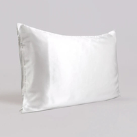 Taie d'oreiller en satin de soie doux et respectueux de la peau, couleur unie personnalisée, anti-frisottis, pour le soin des cheveux, vente en gros