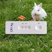 Nouveaux tests rapides vétérinaires pour le dépistage rapide de l'E.cuniculi chez le lapin, pour usage en clinique vétérinaire