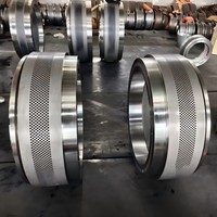 Ensemble de matrices et de rouleaux pour granulateur CPM 7900 Series 7932, en acier inoxydable X46Cr13, pour bois/biomasse, directement de l'usine