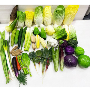Conjunto de modelo de vegetales de PU simulado para educación preescolar Incluye repollo, brócoli, pepino, lufa, berenjena, accesorios cognitivos - Product Image 2