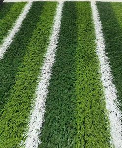 Gazon synthétique professionnel haute densité sans remplissage gazon artificiel terrain <span class=keywords><strong>de</strong></span> football gazon artificiel gazon artificiel <span class=keywords><strong>de</strong></span> football - Product Image 6