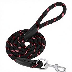 Laisse en Corde de Nylon Premium pour Chiens 4 Pieds (122cm) Largeur 10mm - Product Image 1