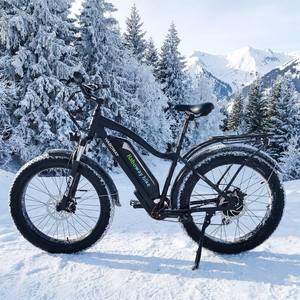 Vélo de montagne électrique <span class=keywords><strong>Rad</strong></span> Power Addmotor Style 500W avec moteur avant, pneus larges 26*4 pouces, 7 vitesses, longue distance, vélo électrique pour adultes - Product Image 4