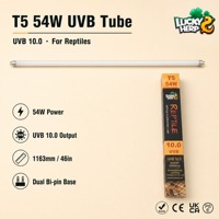 LuckyHerp T5 54W UVB10.0 Lampe UVB Spirale en Verre pour Reptiles Écologique Utilisation Intérieure Toutes Saisons 46 pouces