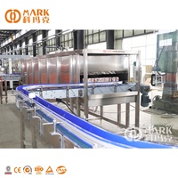 Ligne de production clé en main de machines de remplissage et d'embouteillage automatiques pour boissons gazeuses et eau gazeuse