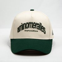 Casquette de baseball snapback à visière plate personnalisée, thème tropical, pour activités extérieures, avec broderie du logo de l'équipe/du club, design 5 panneaux ajustable