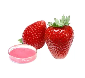 100% 水溶性有机草莓提取物粉