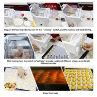500G Hopper Home Pasta Maker Nouilles Pâtes Faisant La Machine Avec Types De Moules Buses Cookie Biscuit Formant La Machine D'extrudeuse