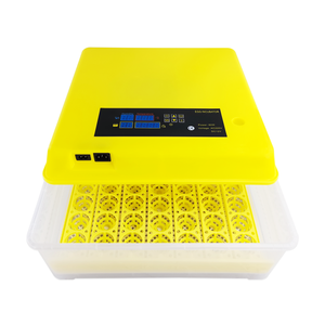 Máquina de incubación de huevos pequeños, controlador de temperatura y humedad, bandeja de plástico, pescado, profesional - Product Image 2