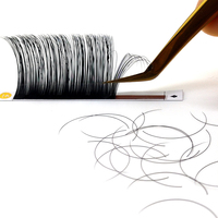 Extensions de cils personnalisées avec logo, cils inférieurs en gros, marque privée, cils coréens PBT faits à la main, haute qualité ISO/CE, volume complet