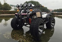 Go Kart Big Bull a Gasolina, Todoterreno de Cuatro Ruedas, Kart de Playa para Adultos
