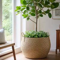 Panier à plantes extra large en jonc de mer tressé à la main pour couvrir les pots d'arbres d'intérieur sur pied avec poignées, style ferme et bohème