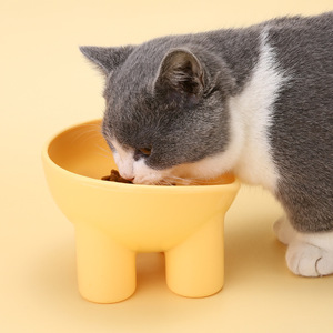 Cute <b>Cat</b> Bowl Elevated Rounded Shape Tall Legs For <b>Cat</b> Feeding Support - Product Image 1
