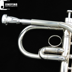 Strumento a Fiato in Ottone Jingying Music 2023, Tromba Professionale in EVA Tonalità Mi♭/Re con Corpo in Ottone, Valvole in Monel, Placcata in Argento - Product Image 3