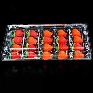 Blíster transparente desechable PET, caja de frutas, bandeja de plástico, embalaje para fresa - Product Image 4
